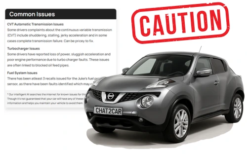 Common Issues Chat2Car report